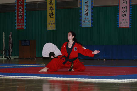 VI CAMPEONATO MUNDIAL DE HAPKIDO