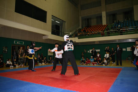 VI CAMPEONATO MUNDIAL DE HAPKIDO