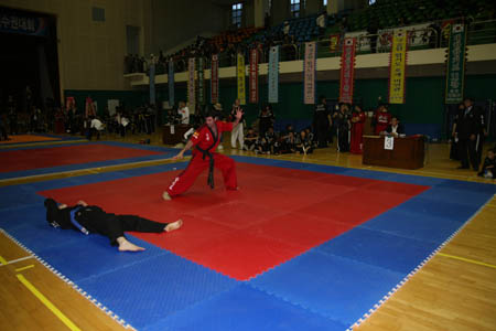 VI CAMPEONATO MUNDIAL DE HAPKIDO