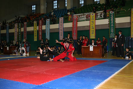 VI CAMPEONATO MUNDIAL DE HAPKIDO