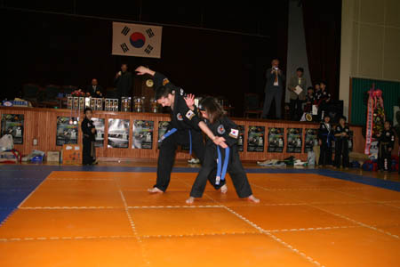 VI CAMPEONATO MUNDIAL DE HAPKIDO