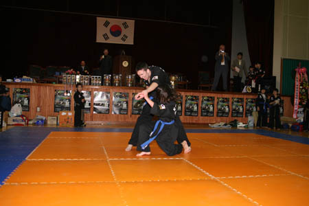 VI CAMPEONATO MUNDIAL DE HAPKIDO