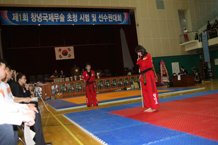 VI CAMPEONATO MUNDIAL DE HAPKIDO