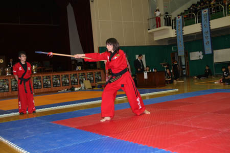 VI CAMPEONATO MUNDIAL DE HAPKIDO